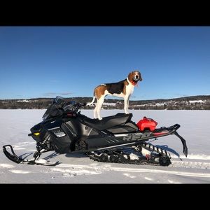 Meet your Posher, Bethany